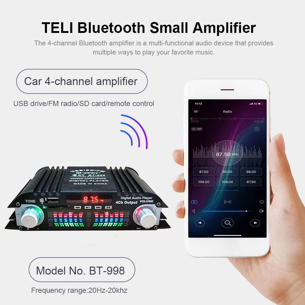 Peak Power HiFi Sound Amplifier