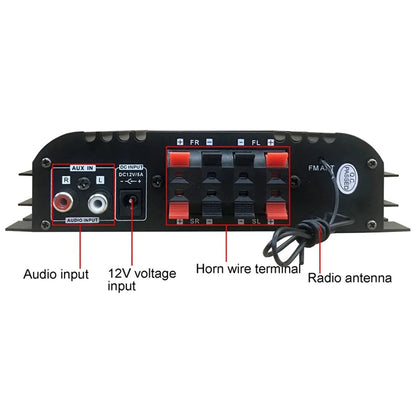 Peak Power HiFi Sound Amplifier
